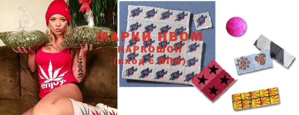 прущие грибы Нязепетровск